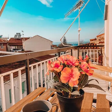 Navarino Appartement Pylos